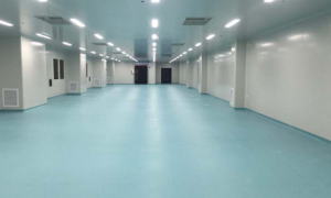 净化工程包含了哪些内容？